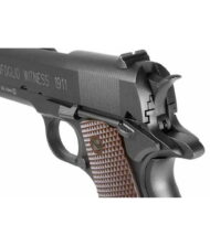 Tangfolio Witness 1911 - Image 4