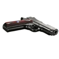 .45 MSD CHAMPION - Image 2