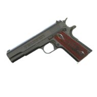 .45 MSD GUARDIAN - Image 3