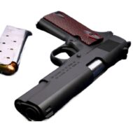 .45 MSD GUARDIAN - Image 2